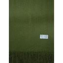 HF-CFS-68-6-Green-CashmereFeelScarf-70x12-Acrylic-Retail$7.32