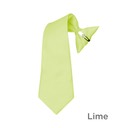 SY-BSC-33026-Lime-Boy'sPolyesterClipOnSolidTie-8in,11in,17in-Retail$8.32