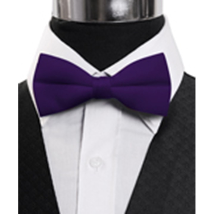 SY-BTC-17032-DkPurple-Men's2.5'PolySatinBandedClipOnBowTies-Retail$5.82