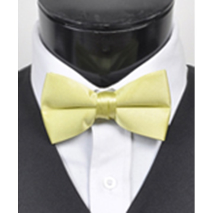 SY-BTC-17037-LtYellow-Men's2.5'PolySatinBandedClipOnBowTies-Retail$5.82