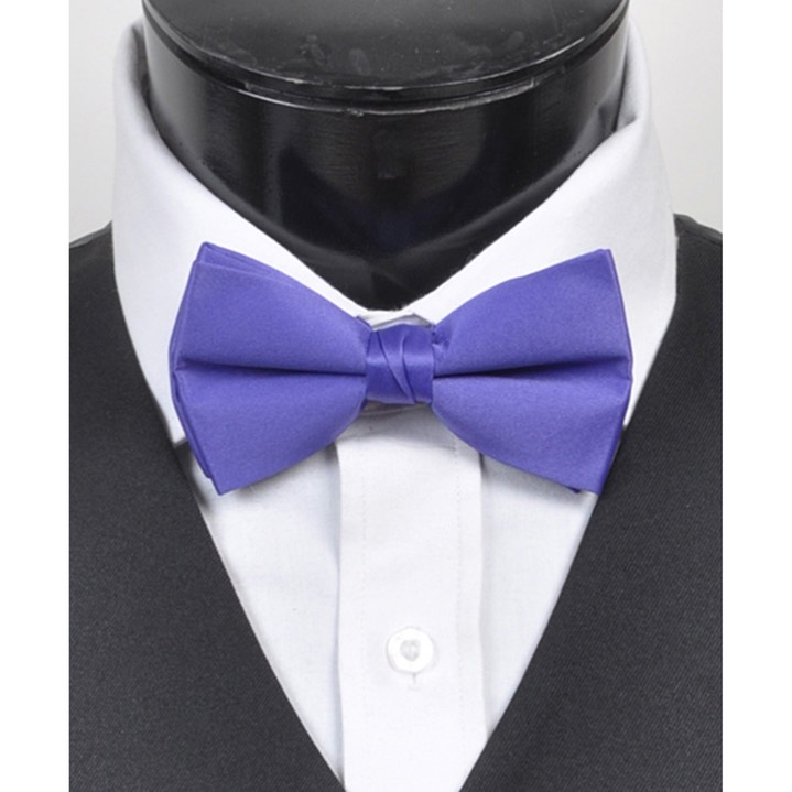 SY-BTC-17043-Purple-Men's2.5'PolySatinBandedClipOnBowTies-Retail$5.82