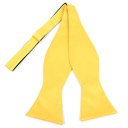 SY-FBMP-13030-Yellow-Men'sFreestyleBowTies-Retail$9.65
