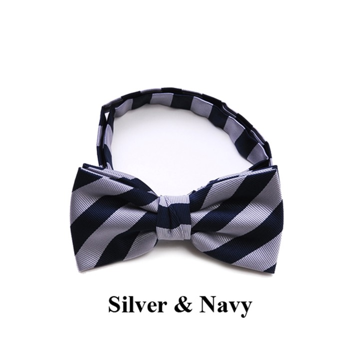 SY-CBB-38017-CollegeMicrofiberBandedBowTie-Retail$9.65