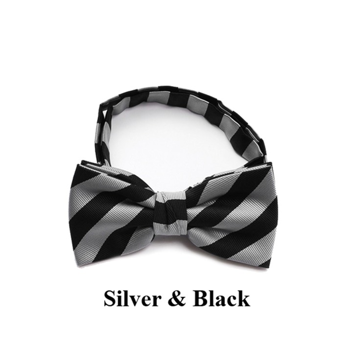 SY-CBB-38018-CollegeMicrofiberBandedBowTie-Retail$9.65